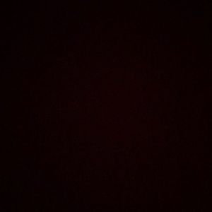 Meet your Posher, Dani